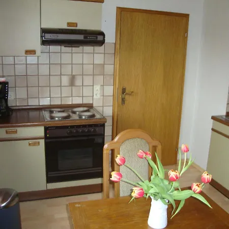 Appartement Haus Reif à Dombuhl Extérieur photo