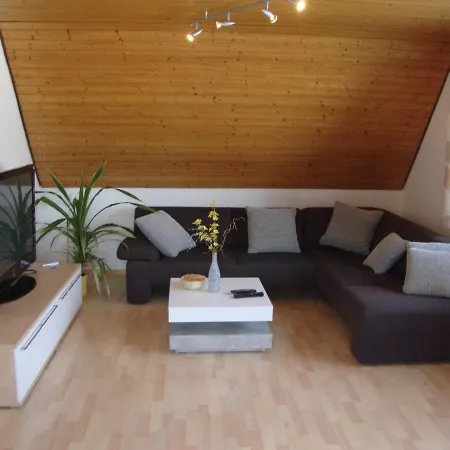 Appartement Haus Reif à Dombuhl Extérieur photo